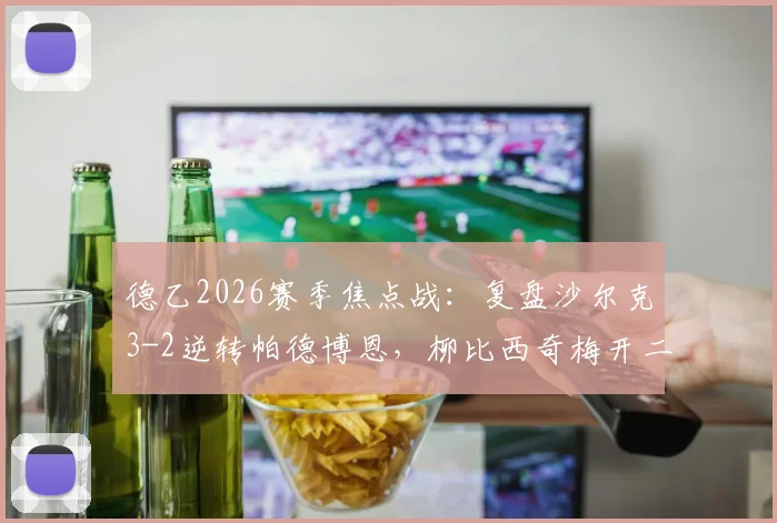 德乙2026赛季焦点战：复盘沙尔克3-2逆转帕德博恩，柳比西奇梅开二度背后战术解析与球队冲甲前景